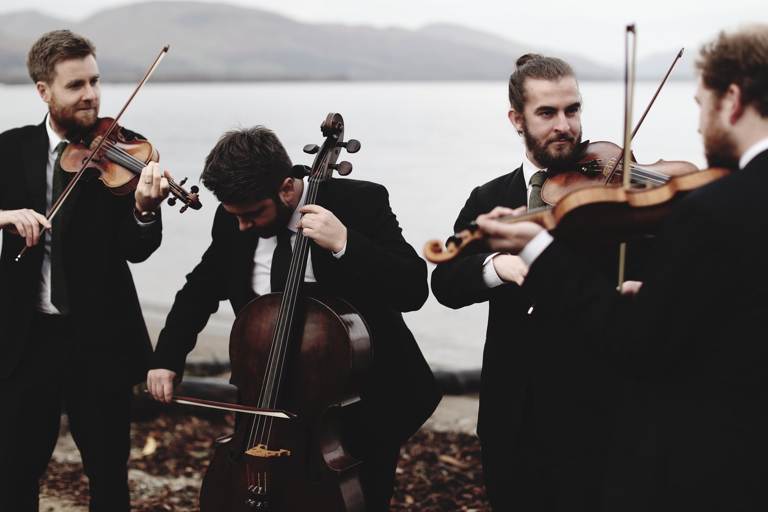 Maxwell String Quartet